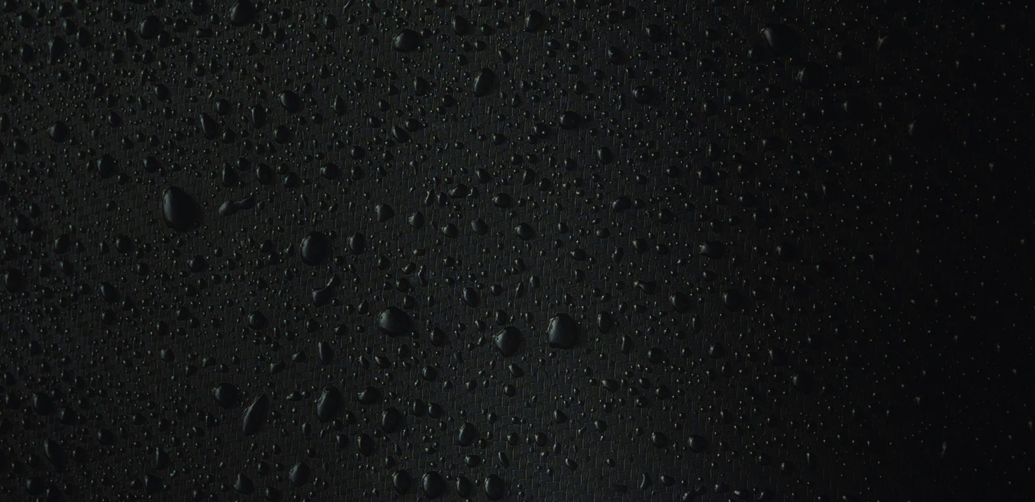 back-zonderlogo_2